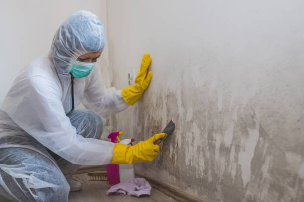 Asbestos and Lead Testing During Mold Inspection in Glasgow Village, MO