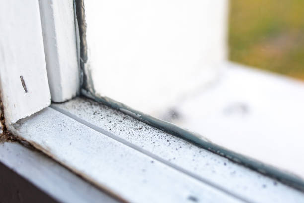 Mold Remediation for Rental Properties in Glasgow Village, MO