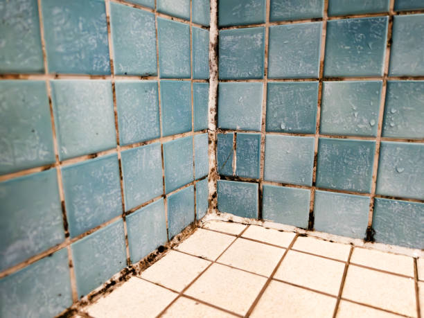 Best Forensic Mold Investigation  in Glasgow Village, MO