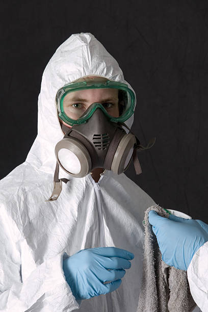 Best Attic Mold Removal  in Glasgow Village, MO